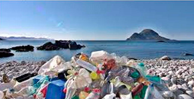 Imagem Casos de Sucesso