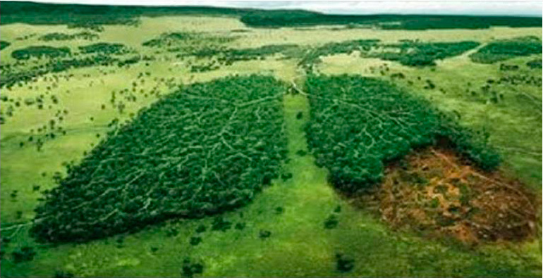 Imagem Casos de Sucesso